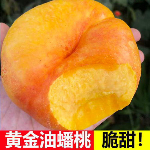 黄油蟠桃！！不甜包赔！！