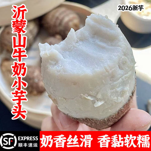 山东沂蒙山牛奶芋头小香芋新鲜农家自种粉糯奶香芋艿正宗现挖毛芋