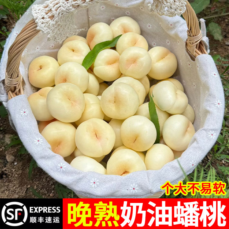 奶油蟠桃新鲜水果整箱当季蒙阴蜜桃白油蟠桃孕妇水果山东油脆潘桃