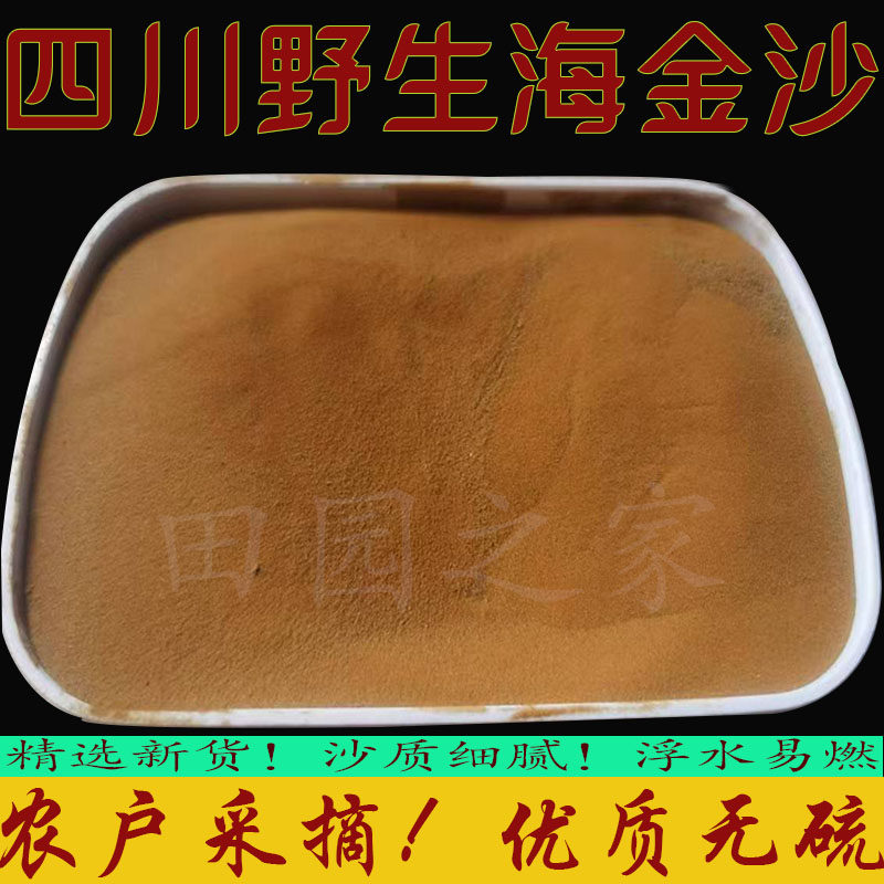 四川正宗野生海金沙化石草饱子粉中药材纯净无硫人工细筛无杂