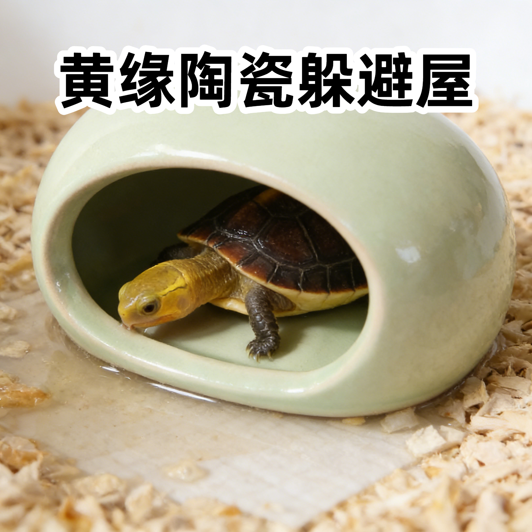 黄缘幼体陶瓷躲避屋陆龟幼龟休息洞穴睡窝生态鱼龟缸造景摆件用品