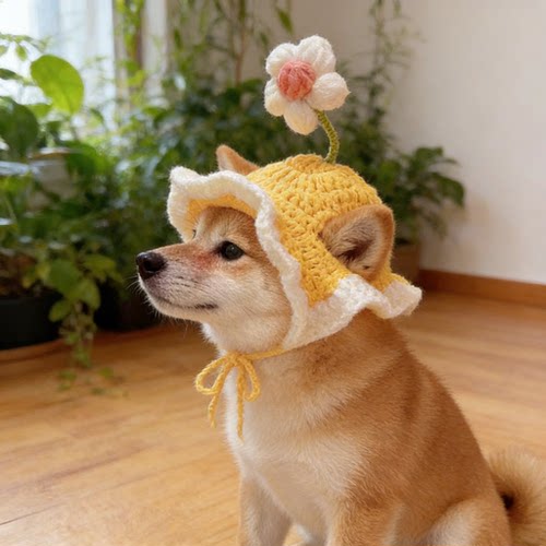 柴犬帽子专用手工编织花朵宠物帽
