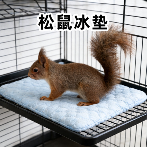 松鼠冰垫夏季降温散热耐咬耐抓