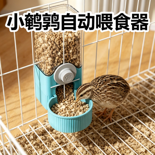 小鹌鹑自动喂食器饲养笼喂食喂水神器大容量挂笼防撒防溅饲养神器