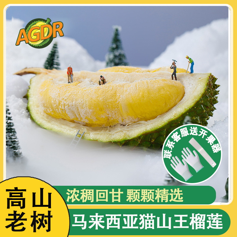 AGDR高山猫山王榴莲正宗D197液氮冷冻马来西亚进口新鲜顺丰包邮