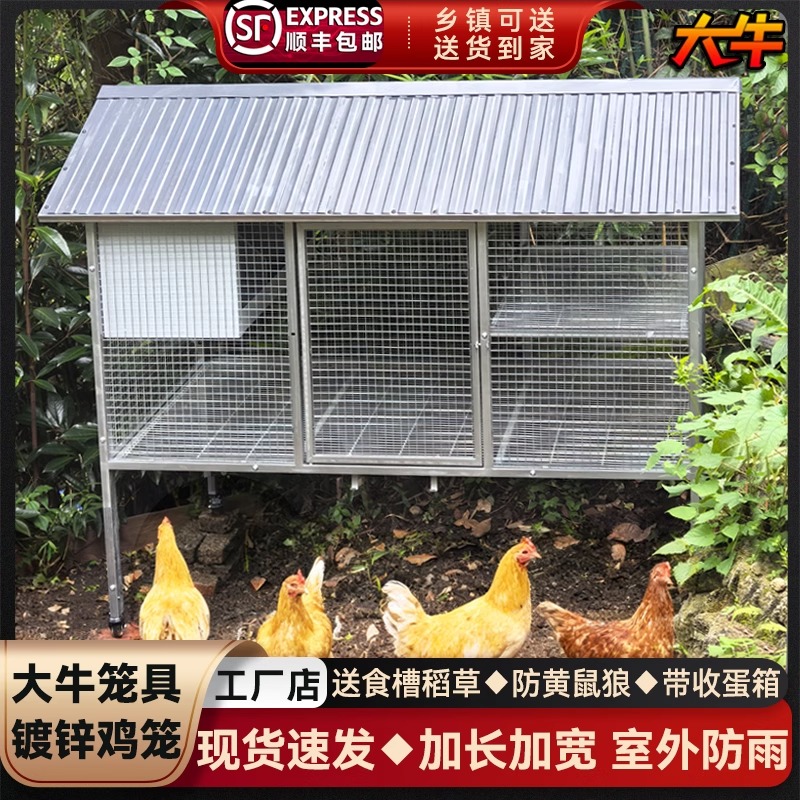 大牛鸡笼子室外家用防雨室内大号