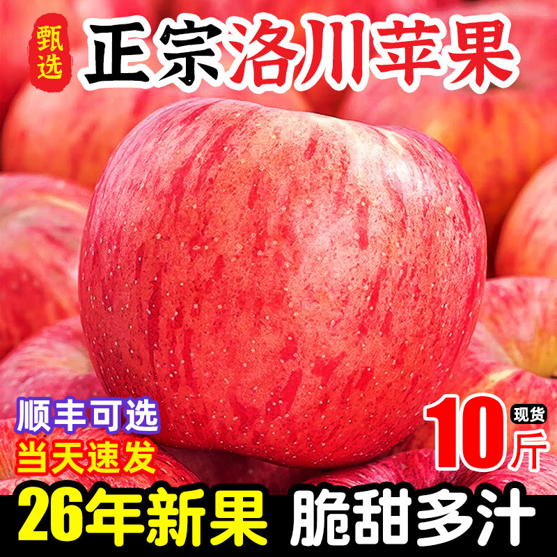 【东方甄选力荐】正宗洛川苹果