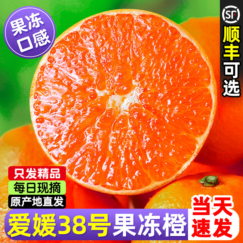 「宇辉力荐」正宗爱媛38号果冻橙