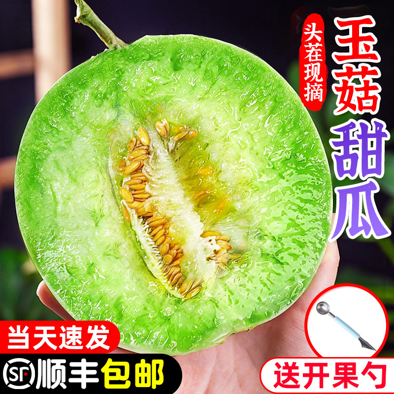 正宗玉菇甜瓜10斤冰淇淋新鲜水果时令当季整箱顺丰羊角香瓜蜜瓜哈
