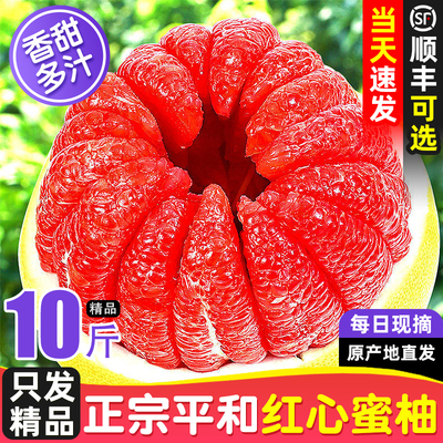 【5A品质】正宗福建平和三红蜜柚