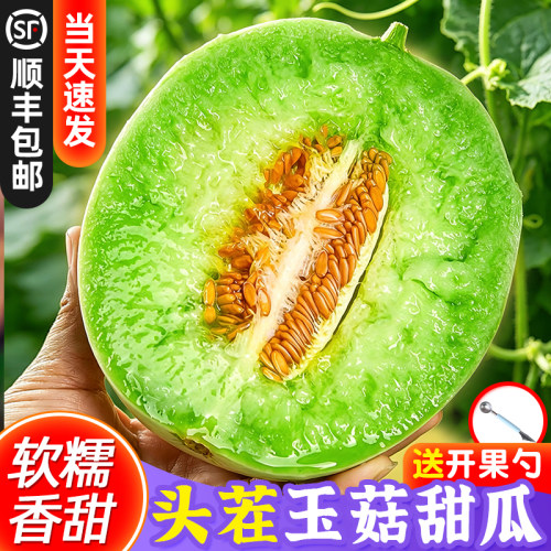 顺丰【东方甄选推荐】玉菇甜瓜