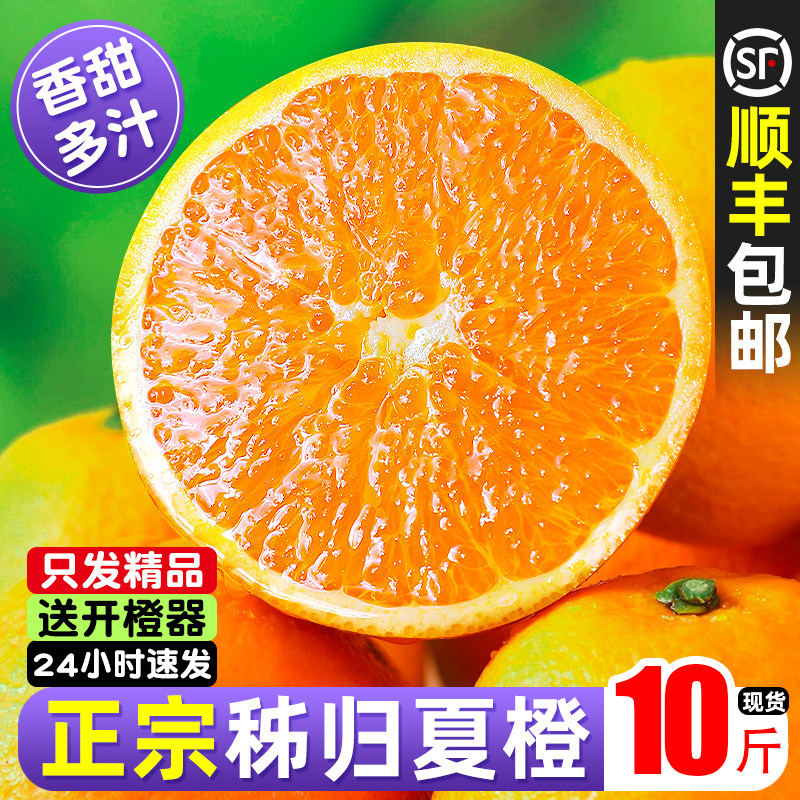 顺丰包邮新鲜正宗夏橙脐橙10斤大果孕妇水果当季整箱鲜橙秭归橙子