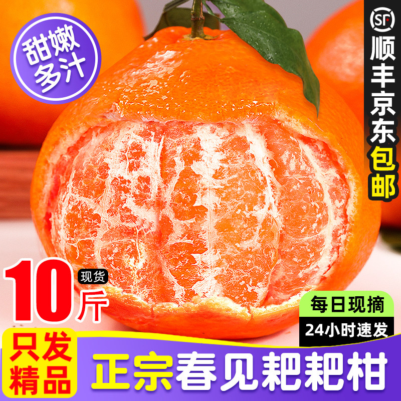 顺丰包邮正宗四川春见耙耙柑新鲜现摘发货丑桔子当季整箱杷粑水果,水产肉类/新鲜蔬果/熟食,桔子,淘宝优惠券,粉丝福利购,淘宝优惠卷