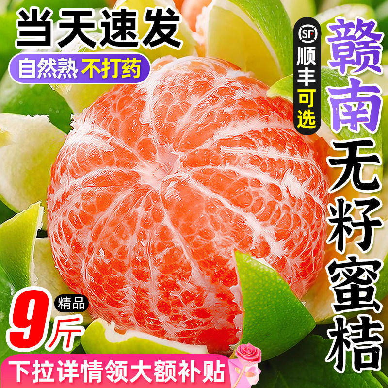 「官方力荐」赣南无籽寻乌蜜桔