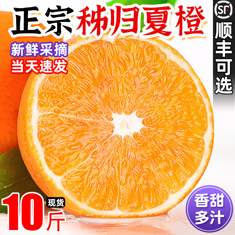 橙子新鲜10斤大果夏橙脐橙湖北宜昌秭归鲜橙孕妇现摘当季整箱水果