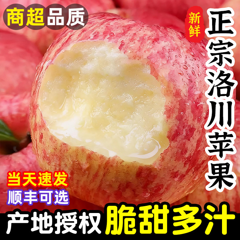 洛川苹果陕西正宗产地直发水果新鲜10斤当季整箱礼盒冰糖心红富士