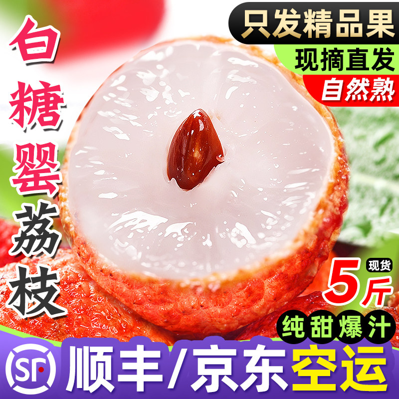 白糖罂荔枝新鲜现摘现发甜顺丰整箱应季时令广东新鲜五斤大果水果