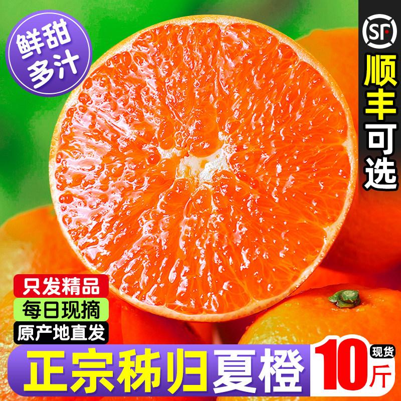 橙子正宗夏橙脐橙湖北秭归新鲜10斤大果鲜橙当季整箱孕妇榨汁水果