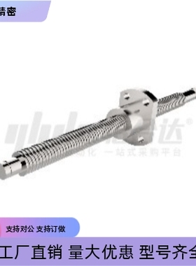 滚珠丝杆LCW49-28-6-L250 L500 L800 L2000-F27 F30 F45-P10 P15