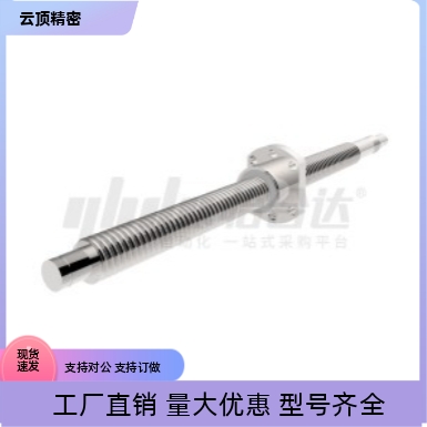 滚珠丝杆LCS55-20-5 10 20-L200 L500 L600 L1000 L1200 L1500