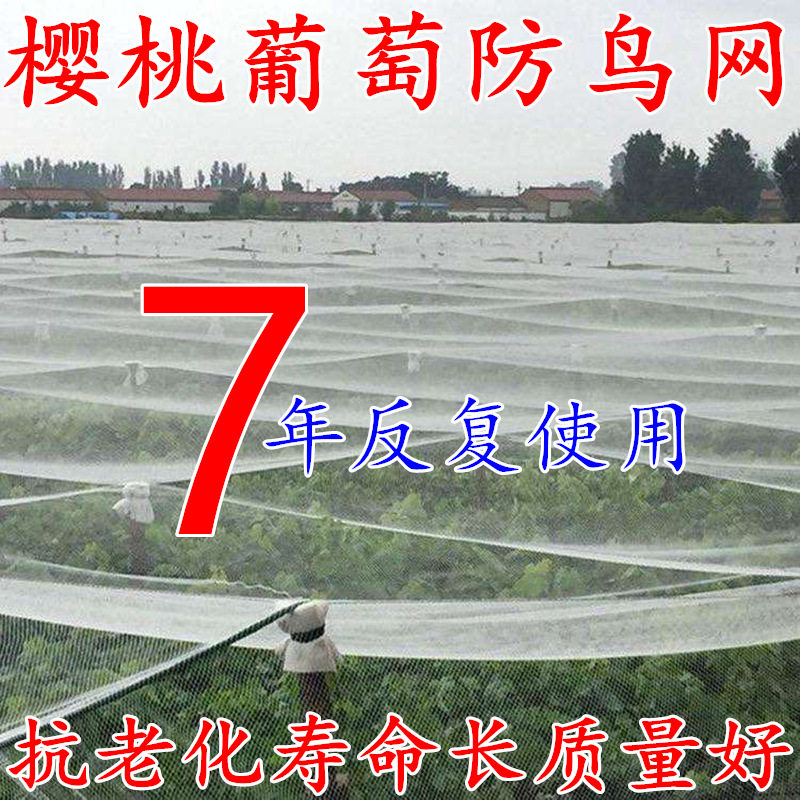 工厂直销防鸟网量大优惠耐晒耐用