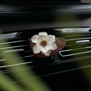 植物果实手工DIY创意车载香薰内饰出风口扩香装饰摆件礼品高级感