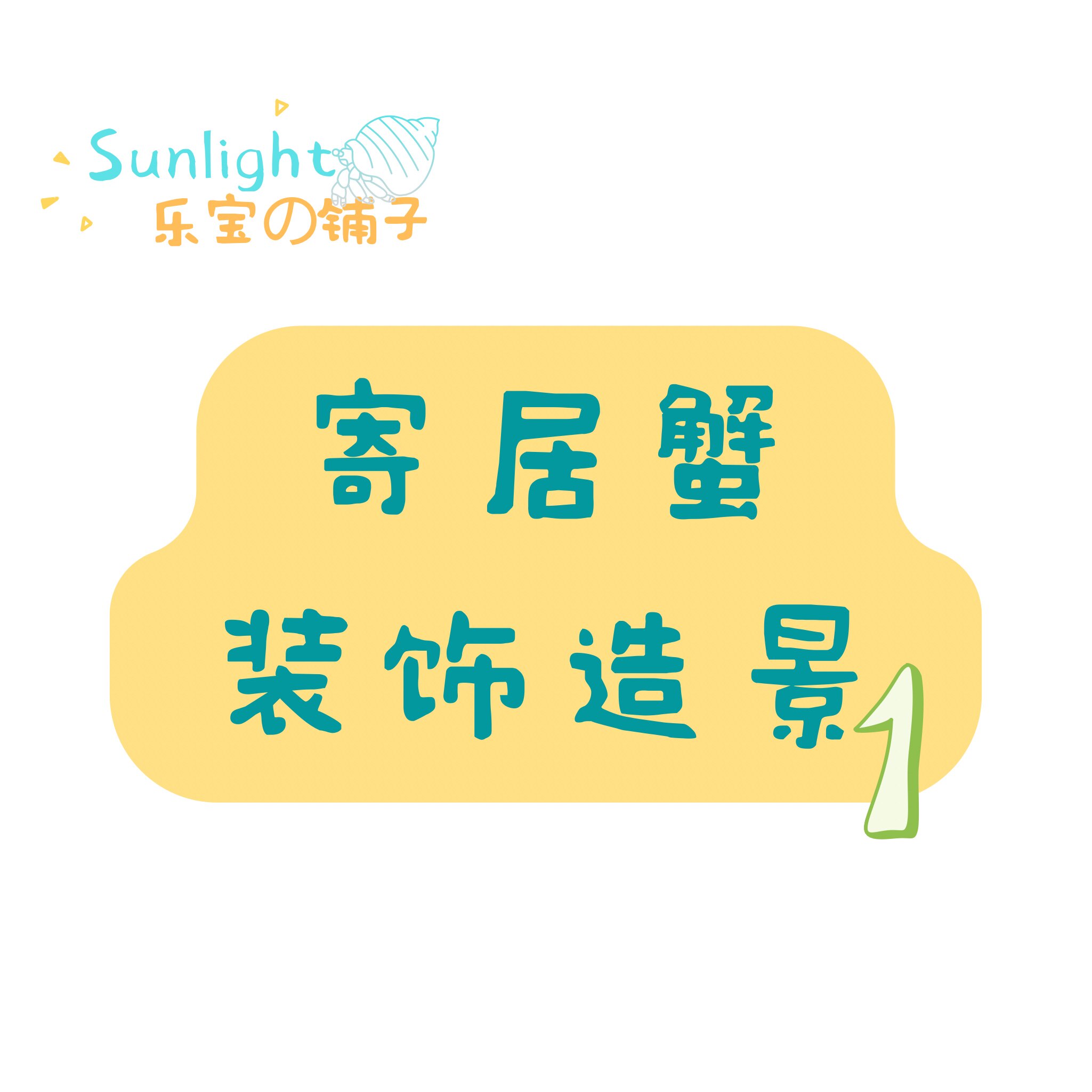 寄居蟹躲避攀爬手绘设计田园小可爱装饰爬宠减压树洞桌面景观人气
