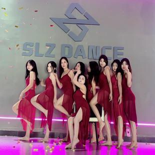 2025新款拉丁爵士舞闪光吊带连衣裙现代芭蕾古典舞蹈裙练功服长裙