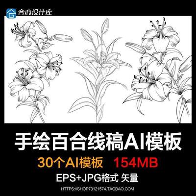 手绘花卉插图百合黑白线稿参考矢量EPS绘画电子版设计素材库