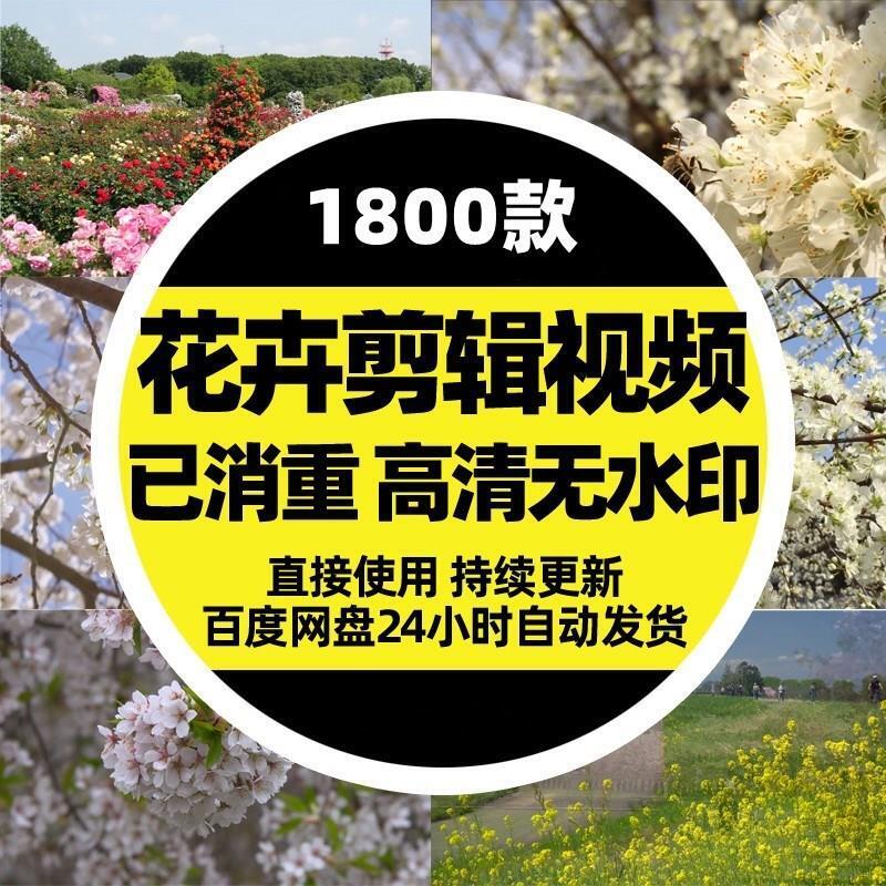 花卉植物剪辑短视频素材鲜花朵特写绽放雨露镜头自媒体短视频抖音