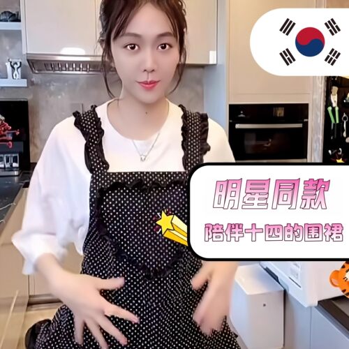明星同款围裙家用厨房2026新款做饭防水防油高颜值高级感年轻款