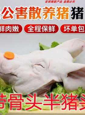 新鲜整只猪头肉带骨耳朵冷冻