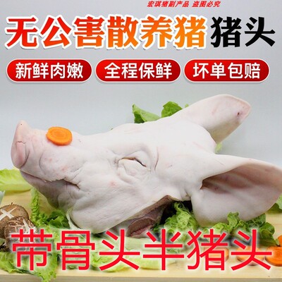 新鲜整只猪头肉带骨耳朵冷冻