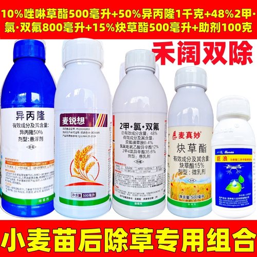 看麦娘罔草黑麦草禾阔双除