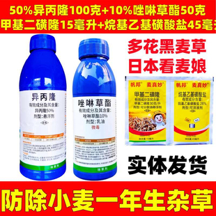 10%唑啉草酯50%异丙隆小麦田苗后除草剂看麦娘多花黑麦禾本科杂草