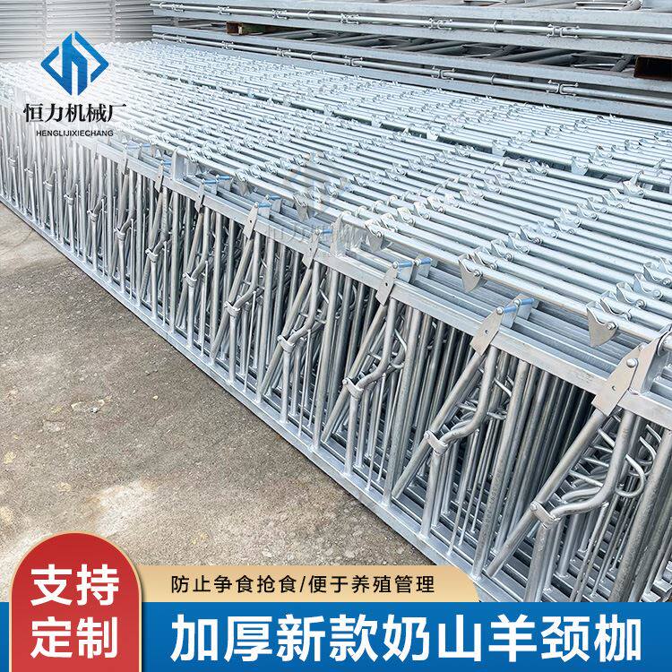 羊舍采食防疫定位栏 一羊一位自锁式羊颈夹安装 3米8位羊颈枷