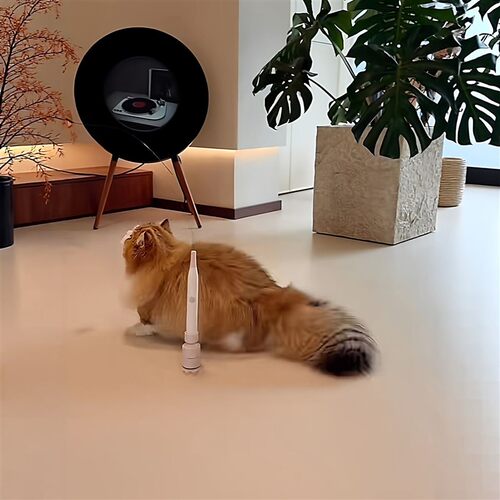 会飞蝴蝶自动吸盘逗猫棒自嗨