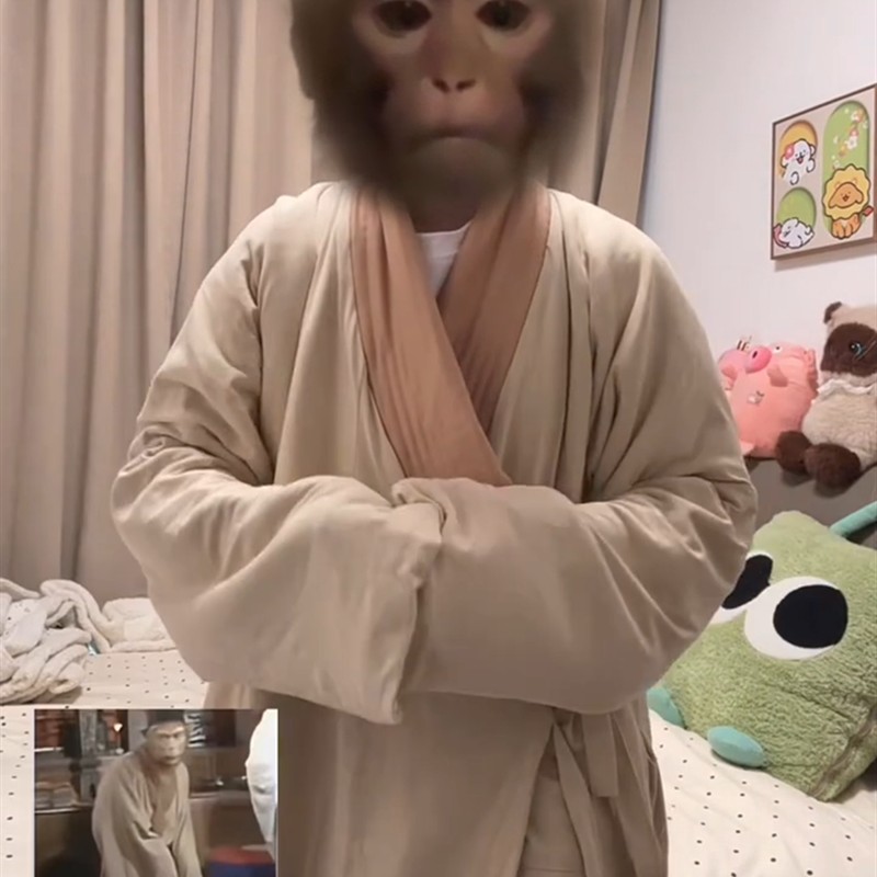孙悟空睡衣吗喽睡袍猴哥道袍冬加厚家居服抽象搞怪齐天大圣cos服