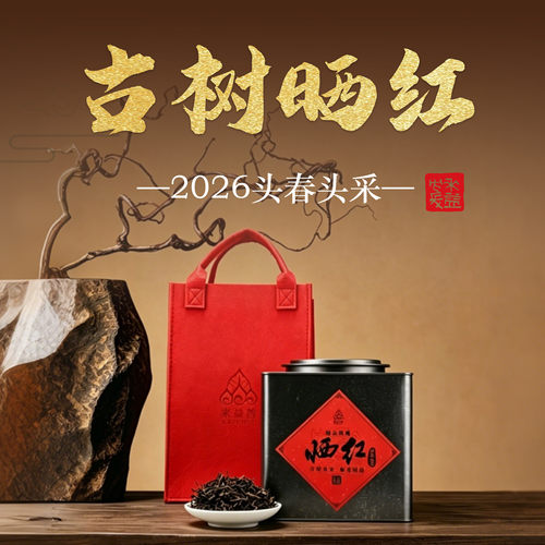 【来益普·古树晒红】云南古树晒红散茶罐装500g礼盒