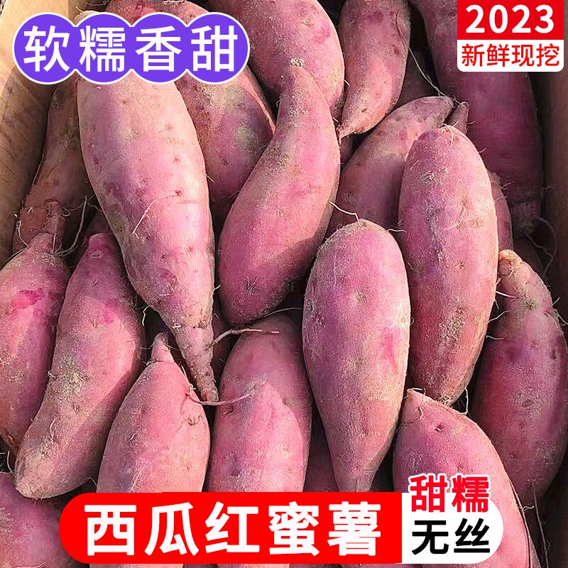 红薯新鲜10斤沙地蜜薯农家自种板栗番薯地瓜现挖山芋小香薯整箱5