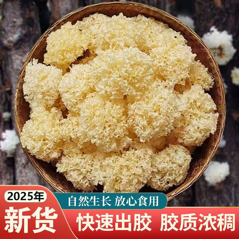 2025椴木小银耳古田特产干货白木耳雪耳糯耳无硫熏出胶大花银耳羹