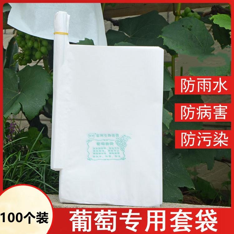 包葡萄的纸袋白色全木浆葡萄套袋葡萄防晒袋葡萄果袋防水防虫鸟防