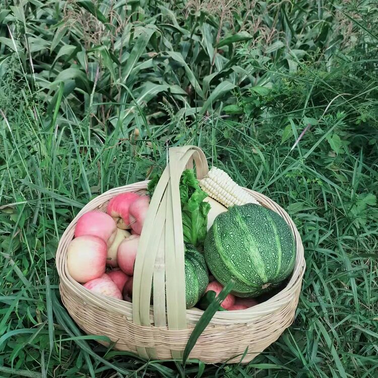贵州竹篮收纳篮工具篮竹子提篮筐