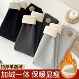 特厚800克羊羔绒打底裤女冬季外穿高腰棉裤大码保暖裤东北恒温裤，女装打底裤，搜酷衣阁