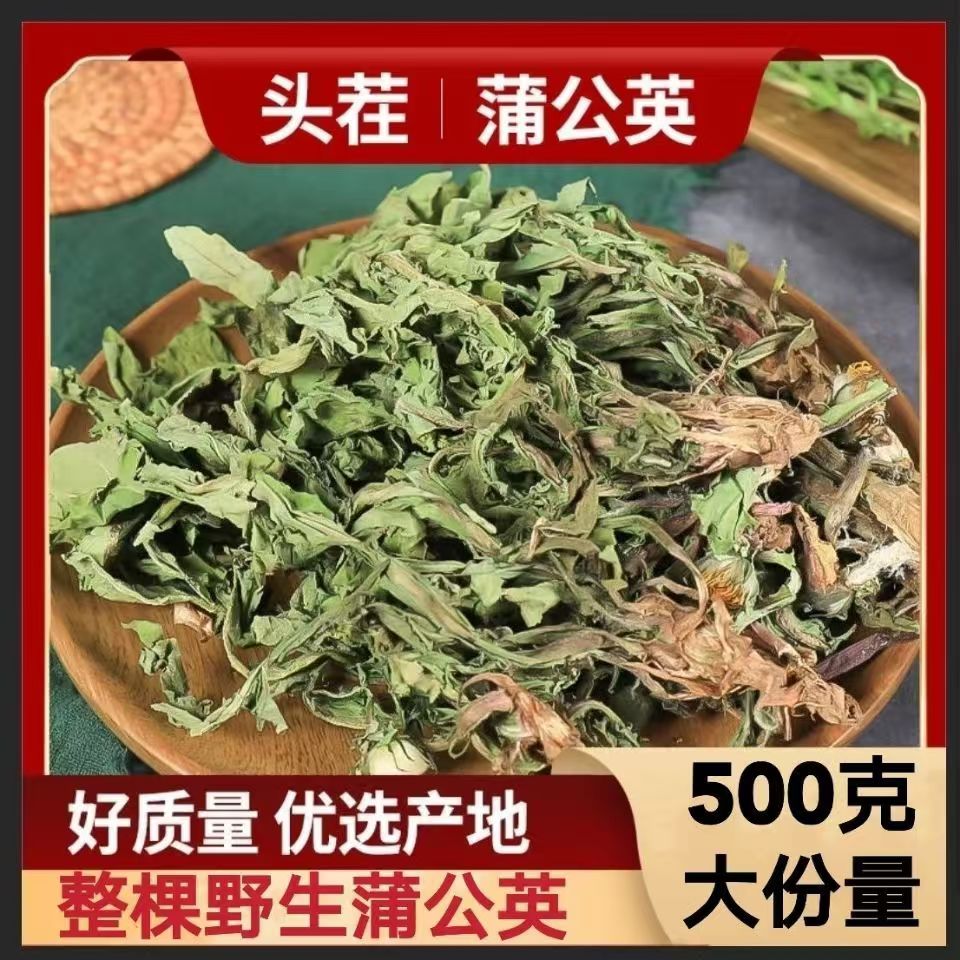 蒲公英天然野生正品干货500g中药材食用婆婆丁茶浦公英泡茶水包邮