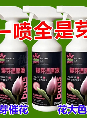 浓缩营养液爆芽素原液多肉专用促芽催芽分化叶插花卉植物营养液