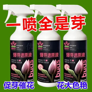 浓缩营养液爆芽素原液多肉专用促芽催芽分化叶插花卉植物营养液