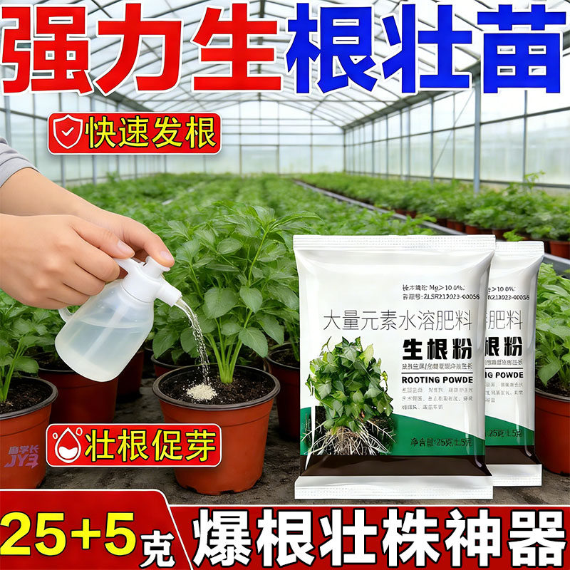 树木移栽专用生根粉快速生根壮苗扦插果树植物蔬菜通用其他肥料,鲜花速递/花卉仿真/绿植园艺,家庭园艺肥料,淘宝优惠券,粉丝福利购,淘宝优惠卷