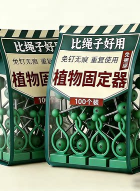 爬藤固定器月季绿萝藤蔓挂墙牵引辅助黏贴卡扣免打孔植物固定器