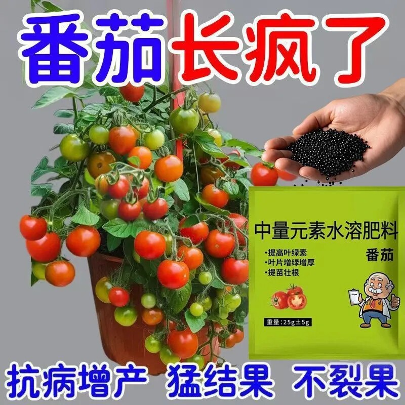 防裂增产】番茄专用肥西红柿瓜果蔬菜通用肥料花肥颗粒缓释肥底肥